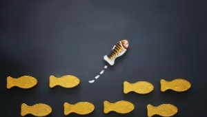 Tipps und Tricks für eine Initiativbewerbung